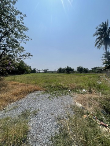 ขายที่ดิน  3 งาน 91 ตารางวา เจ้าของขายเอง  ตำบลงิ้วราย อำเภอนครชัยศรี จังหวัดนครปฐม 