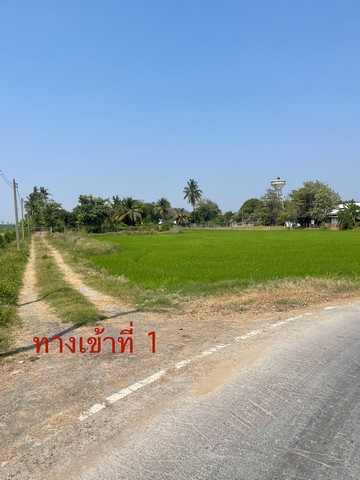 ขายที่ดิน  3 งาน 91 ตารางวา เจ้าของขายเอง  ตำบลงิ้วราย อำเภอนครชัยศรี จังหวัดนครปฐม 