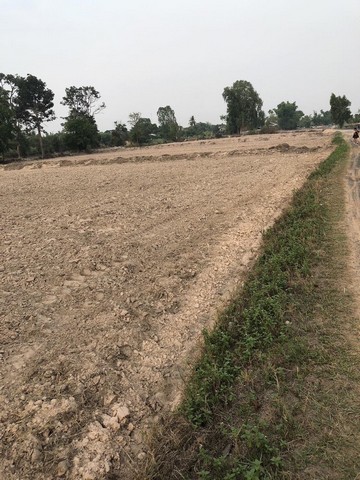 ขายที่ดิน 6 ไร่  หมู่บ้านกลาง ต.ขะยูง อ.อุทุมพรพิสัย จ.ศรีสะเกษ