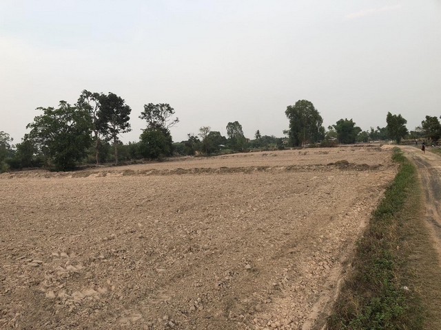 ขายที่ดิน 6 ไร่  หมู่บ้านกลาง ต.ขะยูง อ.อุทุมพรพิสัย จ.ศรีสะเกษ