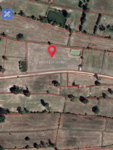 ขายที่ดิน 6 ไร่  หมู่บ้านกลาง ต.ขะยูง อ.อุทุมพรพิสัย จ.ศรีสะเกษ