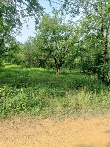 ขายที่ดิน 24 ไร่ 3 งาน 3 ตารางวา เจ้าของขายเอง ตำบลตะเบาะ อำเภอเมืองเพชรบูรณ์ จังหวัดเพชรบูรณ์