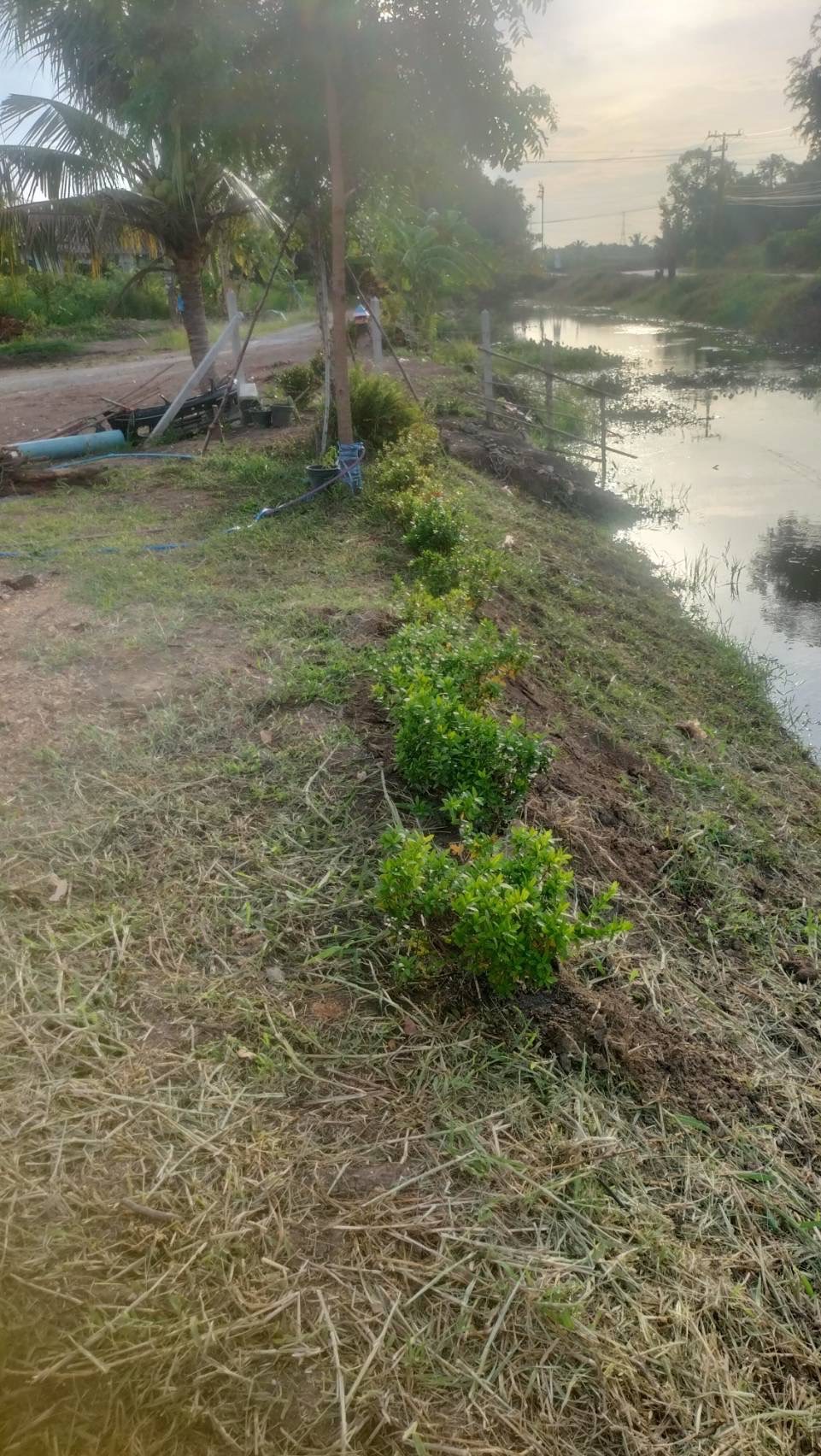 ขายที่ดินพร้อมสิ่งปลูกสร้าง ที่ถมแล้ว น้ำ-ไฟ พร้อม