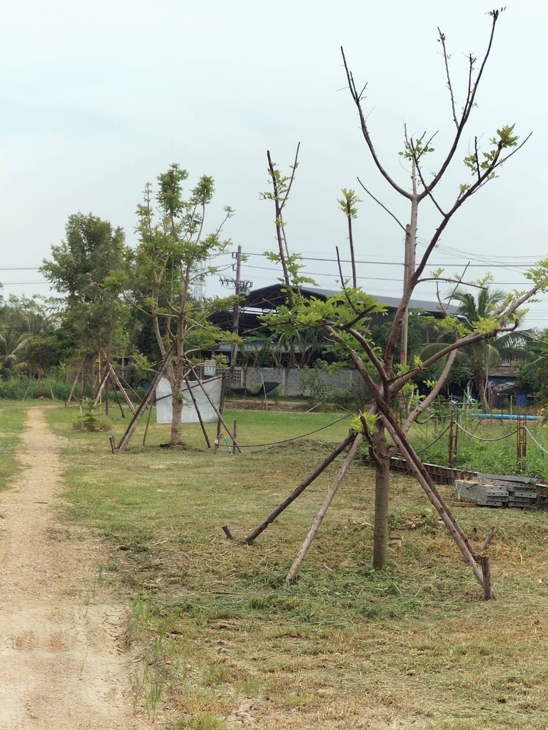 ขายที่ดินพร้อมสิ่งปลูกสร้าง ที่ถมแล้ว น้ำ-ไฟ พร้อม