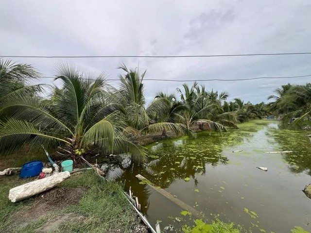 บ้านเดี๋ยว ขนาดใหญ่หลังหัวมุม ไซค์ใหญ่สุดในโครงการ 4 ห้องน้ำ 5 ห้องน้ำ 1 ห้องแม่บ้าน จอดรถในร่ม 3 คัน นนทบุรี