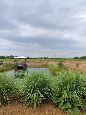 ขายด่วนที่ดินโฉนดครุตแดง เจ้าของขายเองไม่ผ่านนายหน้า  ที่ดินเปล่าถมแล้ว  จังหวัดเชียงราย