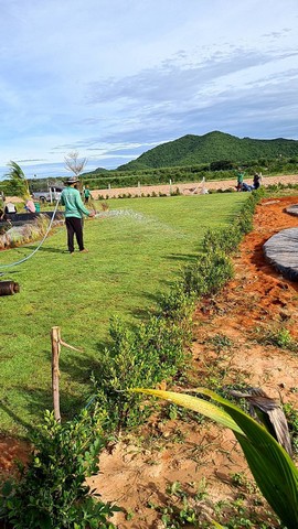 ขายที่ จำนวน 1 ไร่ โฉนดครุฑแดง นส 4 จ อ.ท่าม่วง ต.หนองตากยา จ.กาญจนบุรี 