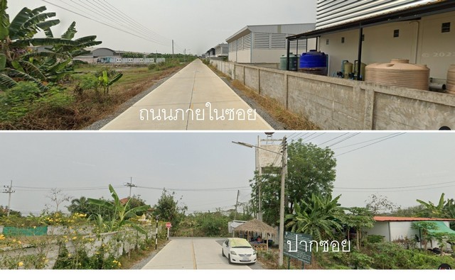 ขายที่ดินเจ้าของขายเอง ตำบลคลองโยง อำเภอพุทธมณฑล จังหวัดนครปฐม