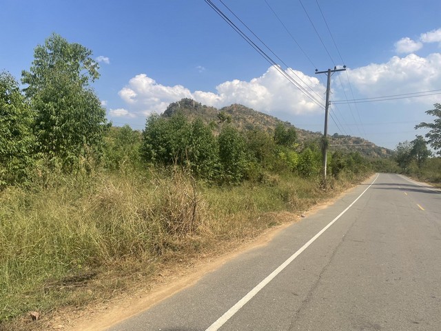 ที่ดิน42ไร่ 3 งาน 46 ตารางวา วัดสาระเห็ด ตำบลกลัดหลวง อำเภอท่ายาง เพชรบุรี 