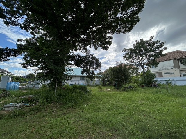 ขายที่ดินเปล่า145.3 ตารางวา   หมู่บ้านพิมานชล 2 ซอย 19 ถนนรอบบึงแก่นนคร  จังหวัดขอนแก่น