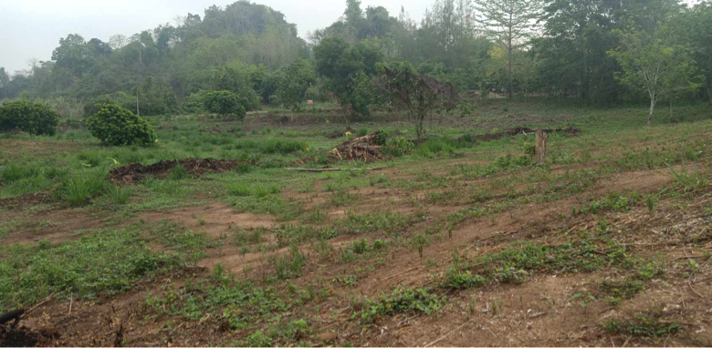 ขายที่ดินวิวสวย ทองผาภูมิ กาญจนบุรี เนื้อที่32ไร่ 59ตารางวา