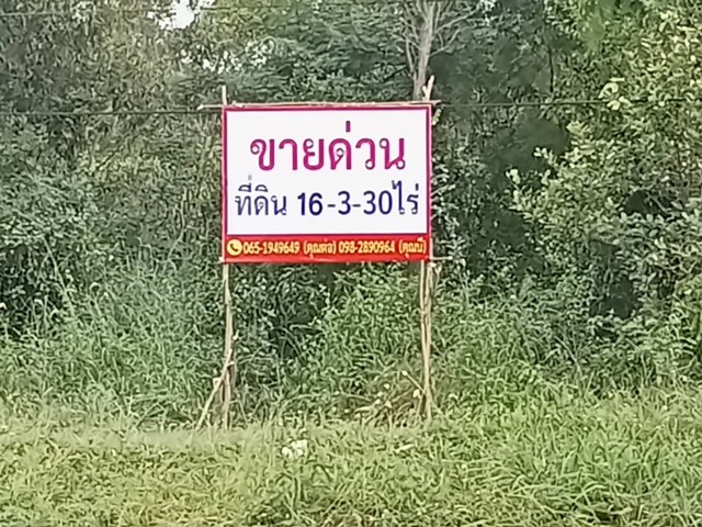 ขายที่ดิน ริมถนน 4เลน 16 ไร่ 3งาน 30 ตารางวา กาฬสินธุ์