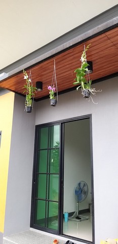 ขายบ้าน หมูบ้านสุดขอบฟ้าอยู่หลังวัดพยาตาก   111 ตารางวา ชัยนาท