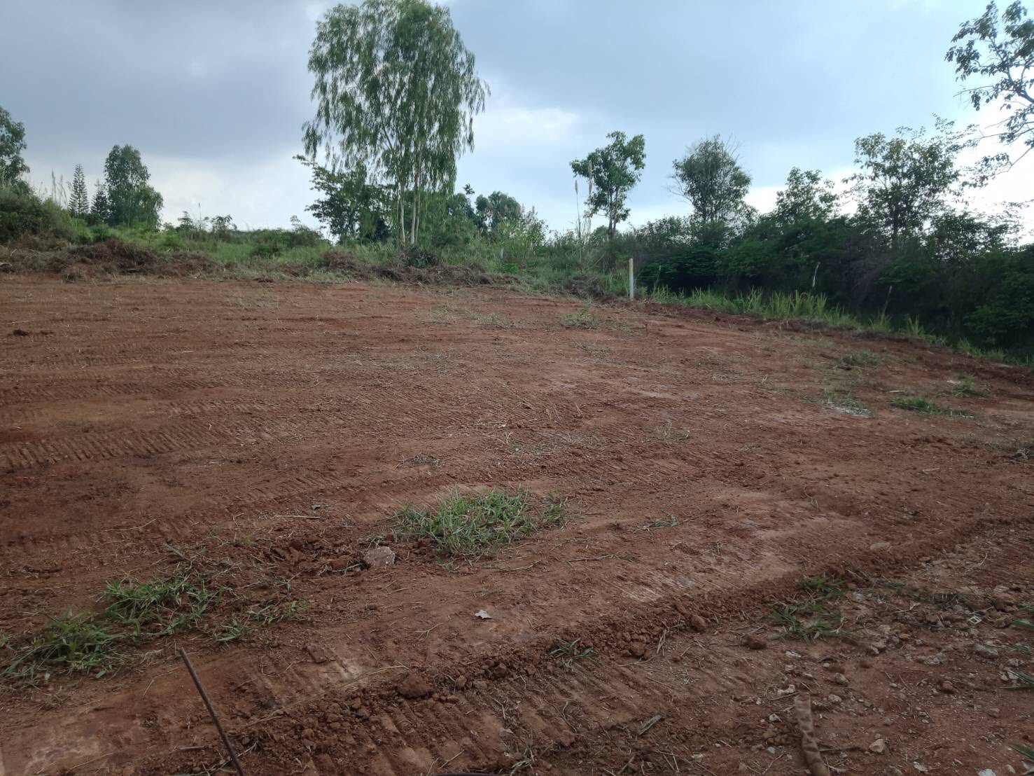 ขายที่ดินสวย วิวสวยมาก จังหวัดเพชรบูรณ์