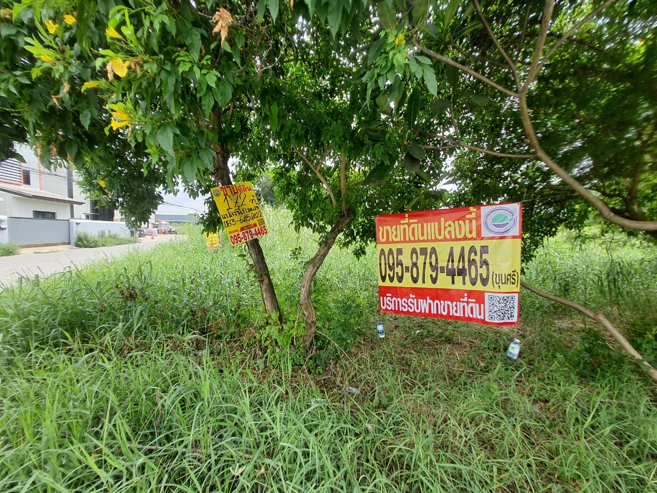 ขายที่ดินทำเลทอง 172 ตารางวา ติดถนนคอนกรีตสาธารณะ  ซอย ติวานนท์-ปากเกร็ด 34