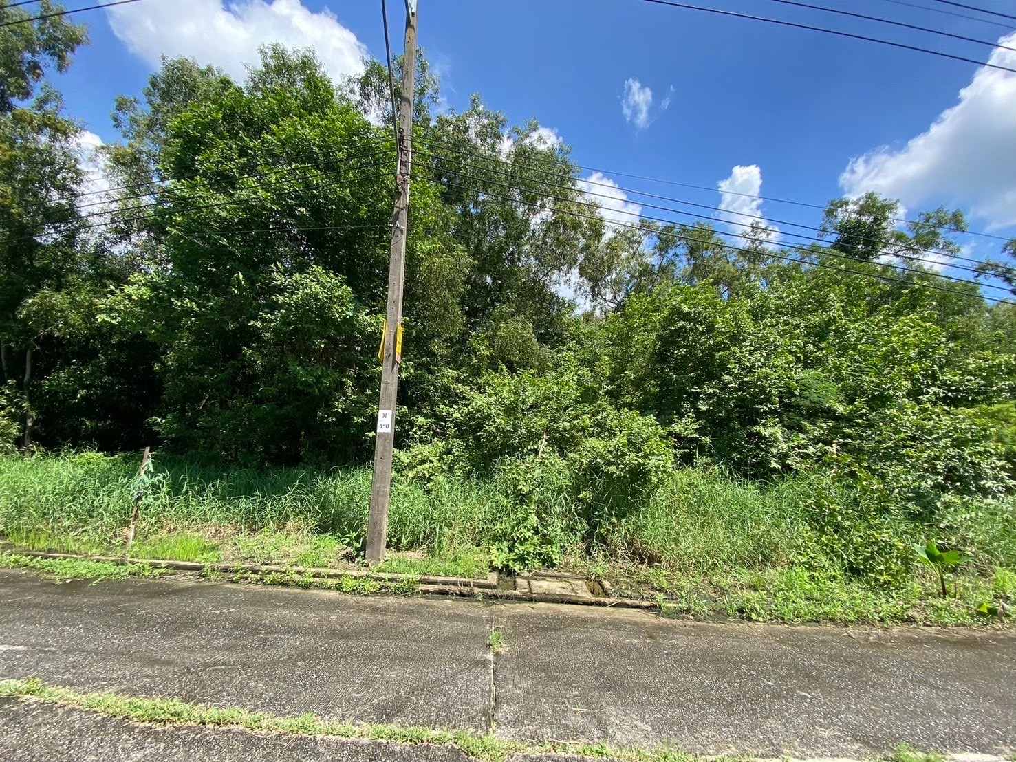 ขายถูก!! ที่ดินหนองจอก 416 ตารางวา หน้าติดถนนคอนกรีต หลังติดคลองสาธารณ