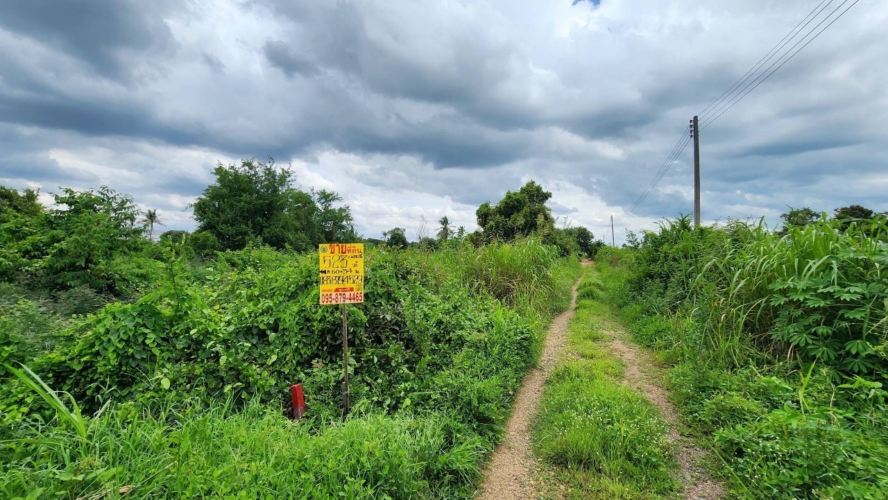 ขายต่ำกว่าประเมิน ที่ดินเมืองปทุมธานี 523 ตารางวา ติดถนนสาธารณะ ซอยตรงข้ามขนส่งปทุมธานี ถนนปทุมธานี-บางเลน(346)