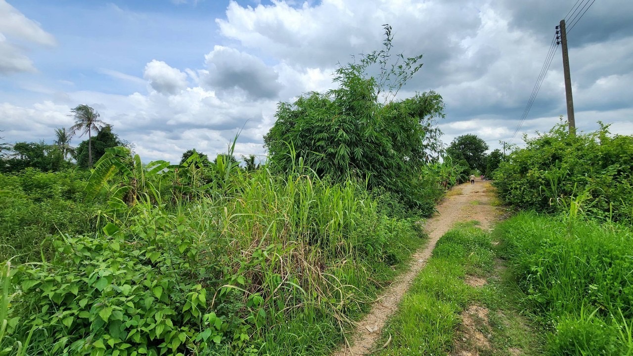 ขายต่ำกว่าประเมิน ที่ดินเมืองปทุมธานี 523 ตารางวา ติดถนนสาธารณะ ซอยตรงข้ามขนส่งปทุมธานี ถนนปทุมธานี-บางเลน(346)