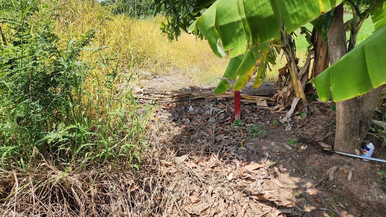 ขายต่ำกว่าประเมิน ที่ดินเมืองปทุมธานี 523 ตารางวา ติดถนนสาธารณะ ซอยตรงข้ามขนส่งปทุมธานี ถนนปทุมธานี-บางเลน(346)