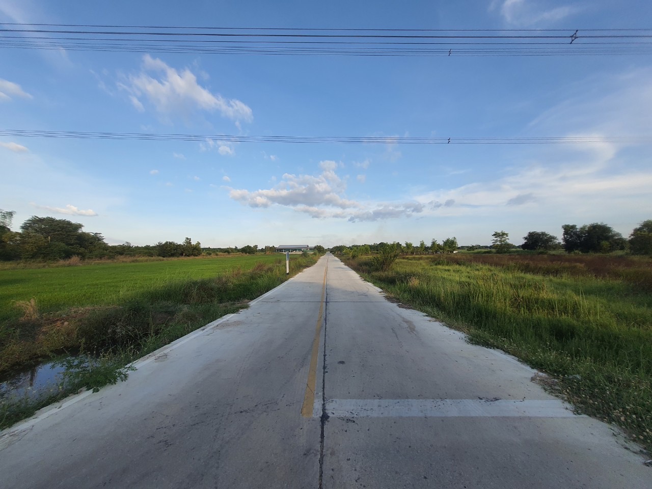 ขายถูกที่สุด‼ ที่ดินคลองสิบ 1 ไร่ ติดถนนคอนกรีตสาธารณะ ซอย เทศบาล 12