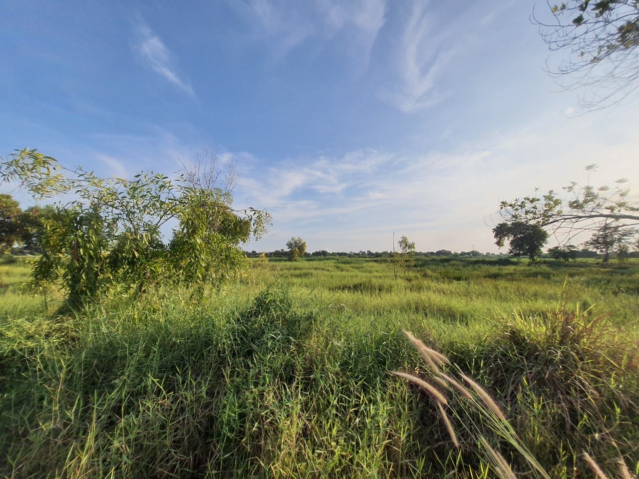 ขายถูกที่สุด‼ ที่ดินคลองสิบ 1 ไร่ ติดถนนคอนกรีตสาธารณะ ซอย เทศบาล 12