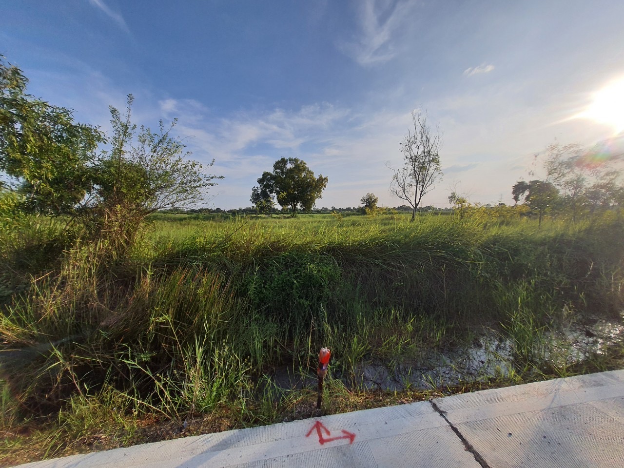 ขายถูกที่สุด‼ ที่ดินคลองสิบ 1 ไร่ ติดถนนคอนกรีตสาธารณะ ซอย เทศบาล 12