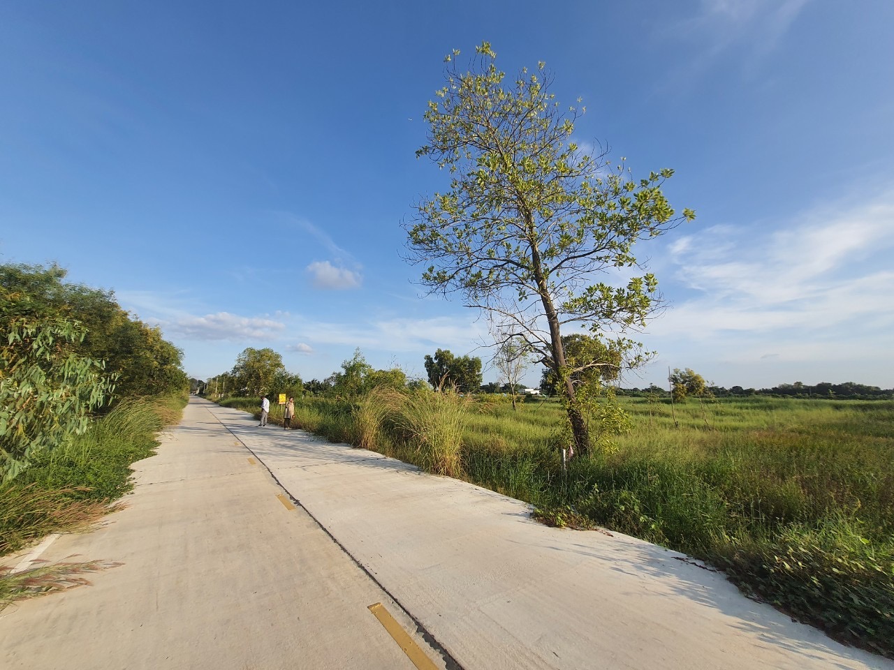 ขายถูกที่สุด‼ ที่ดินคลองสิบ 1 ไร่ ติดถนนคอนกรีตสาธารณะ ซอย เทศบาล 12