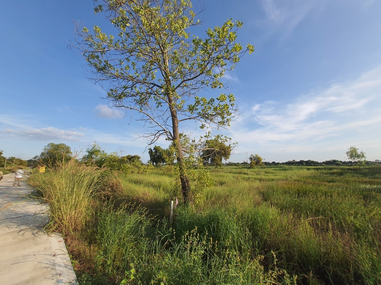 ขายถูกที่สุด‼ ที่ดินคลองสิบ 1 ไร่ ติดถนนคอนกรีตสาธารณะ ซอย เทศบาล 12