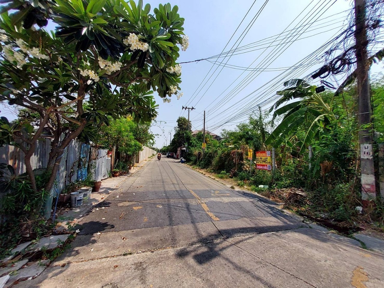 ขายที่ดินดอนเมือง 300 ตารางวา แปลงมุม ถมแล้ว ติดถนนคอนกรีต ซอย สรงประภา 24 กรุงเทพมหานคร