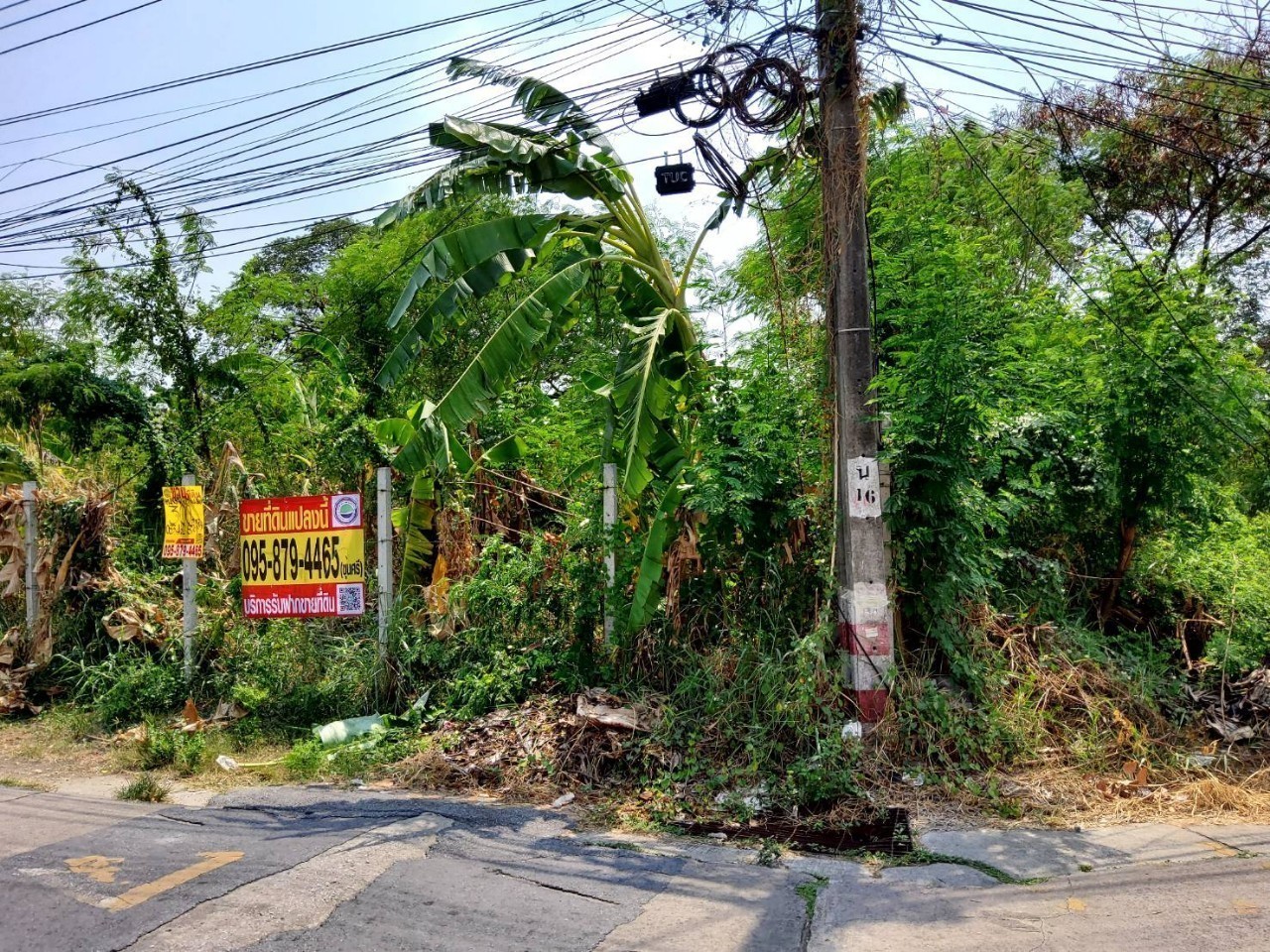 ขายที่ดินดอนเมือง 300 ตารางวา แปลงมุม ถมแล้ว ติดถนนคอนกรีต ซอย สรงประภา 24 กรุงเทพมหานคร