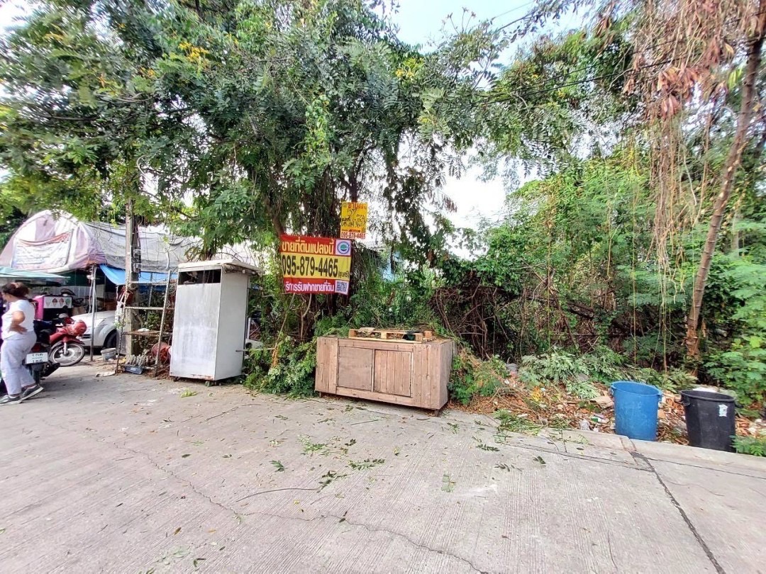 ขายที่ดินลาดกระบัง 57 ตารางวา ติดถนนคอนกรีตสาธารณะ ซอย จรูญสอนดี ถนนพัฒนาชนบท 3