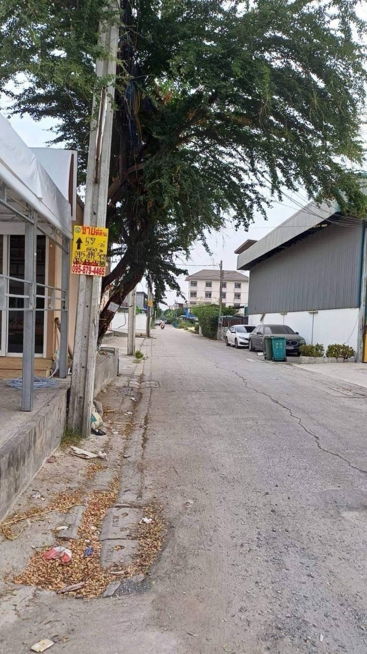 ขายที่ดินลาดกระบัง 57 ตารางวา ติดถนนคอนกรีตสาธารณะ ซอย จรูญสอนดี ถนนพัฒนาชนบท 3