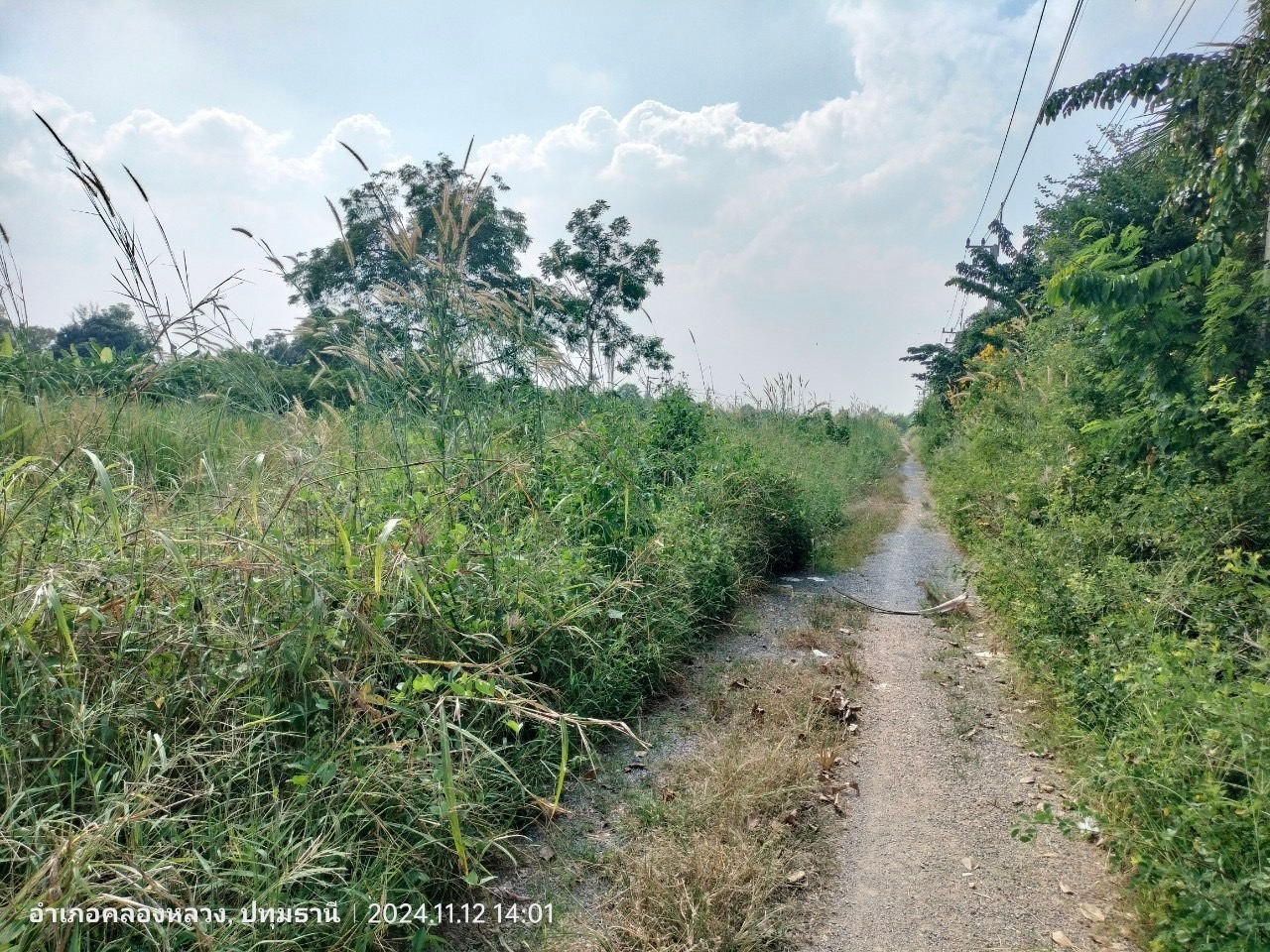 ขายด่วน ที่ดินใกล้มอเตอร์เวย์  5 ไร่ ติดถนนสาธารณะ ซอยคลองสี่ตะวันออก 40 อ.คลองหลวง จ.ปทุมธานี