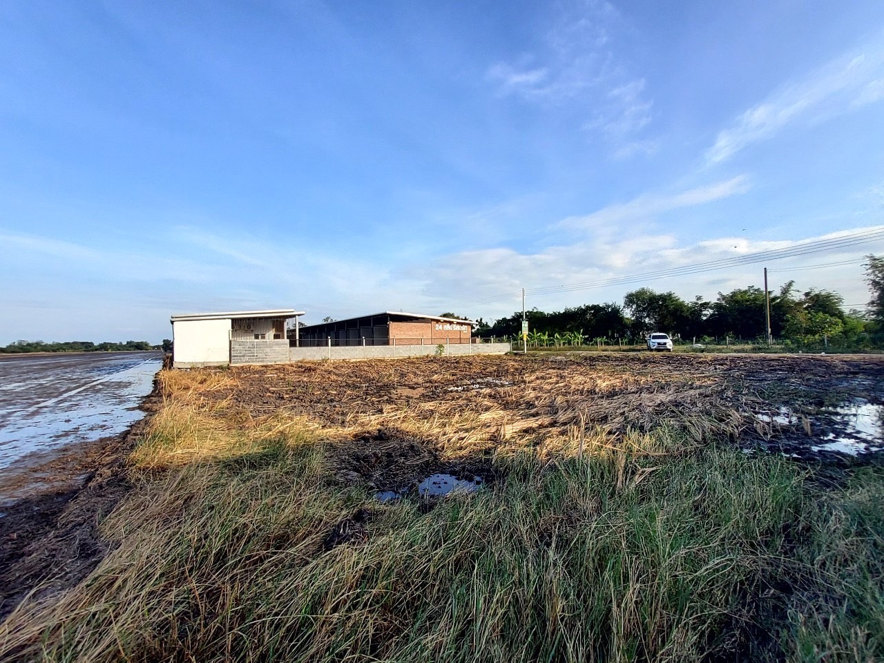 ขายต่ำกว่าราคาตลาด‼ ที่ดินหลังโรงพยาบาลคลองหลวง 250 ตารางวา ติดถนนสาธารณะ อ.คลองหลวง จ.ปทุมธานี