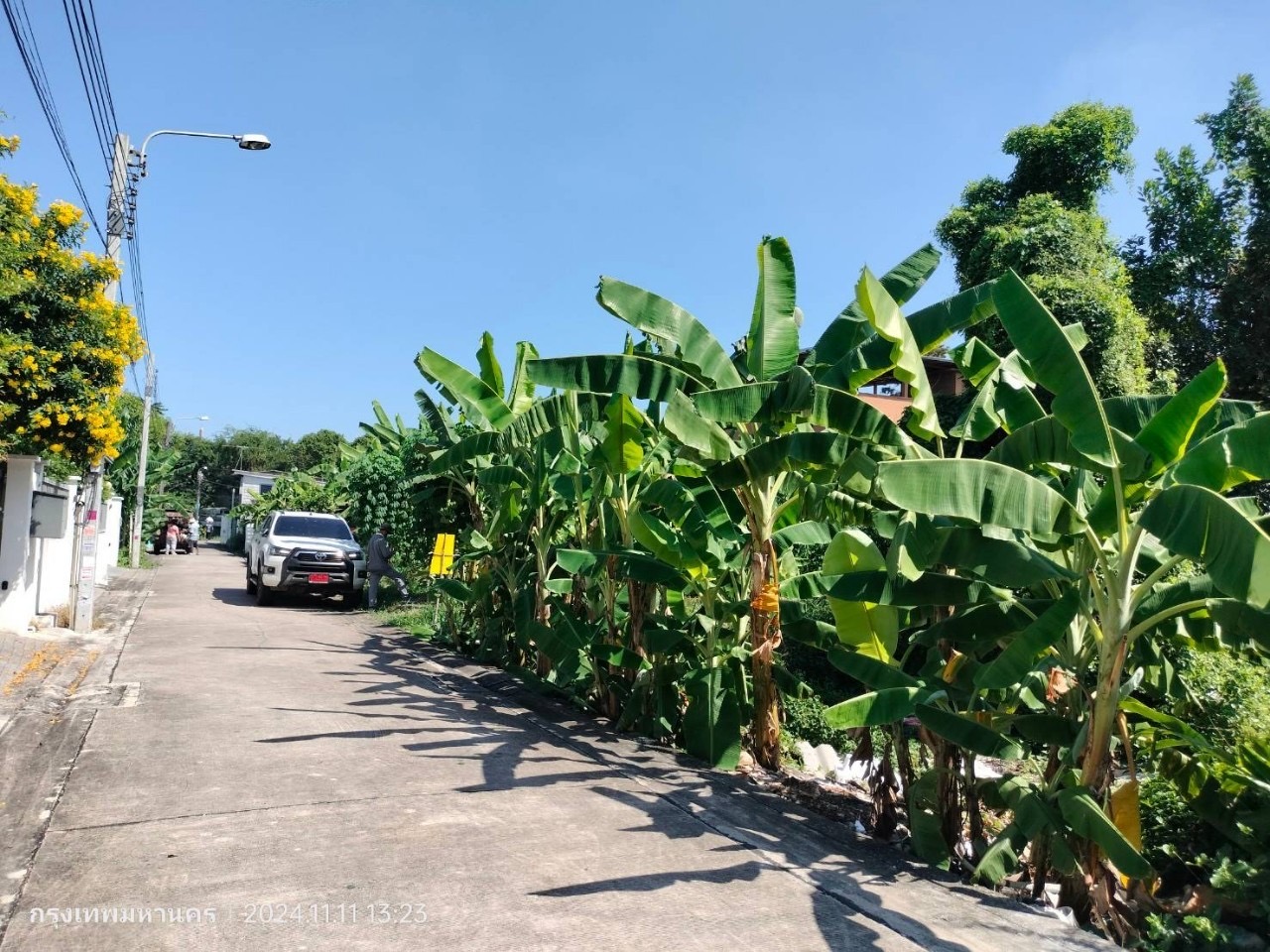 ขายด่วน‼ ที่ดินทำเลดี 103  ตารางวา ติดถนนคอนกรีตสาธารณะ ซอย คู้บอน 25 เขตบางเขน กรุงเทพมหานคร