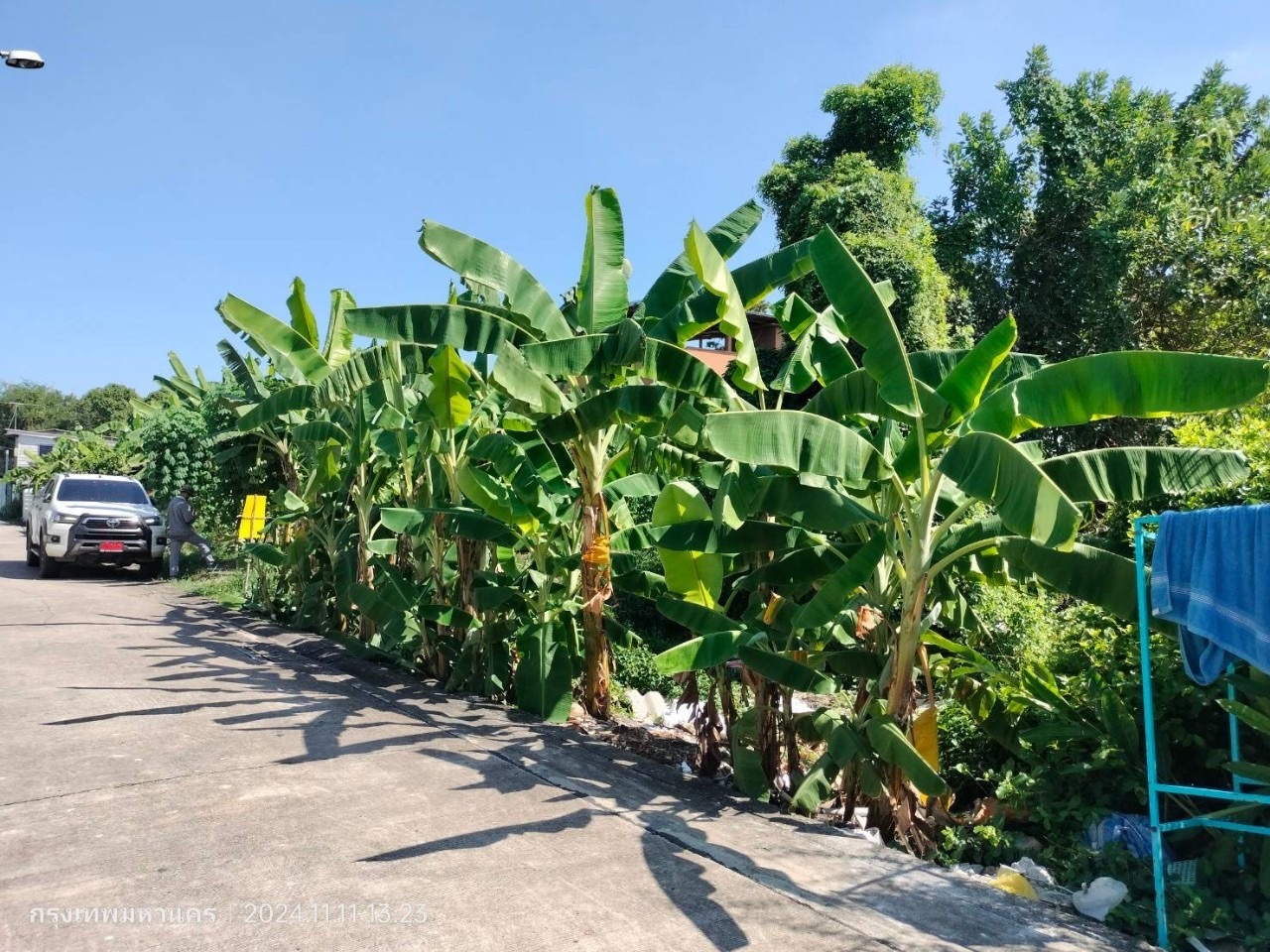 ขายด่วน‼ ที่ดินทำเลดี 103  ตารางวา ติดถนนคอนกรีตสาธารณะ ซอย คู้บอน 25 เขตบางเขน กรุงเทพมหานคร