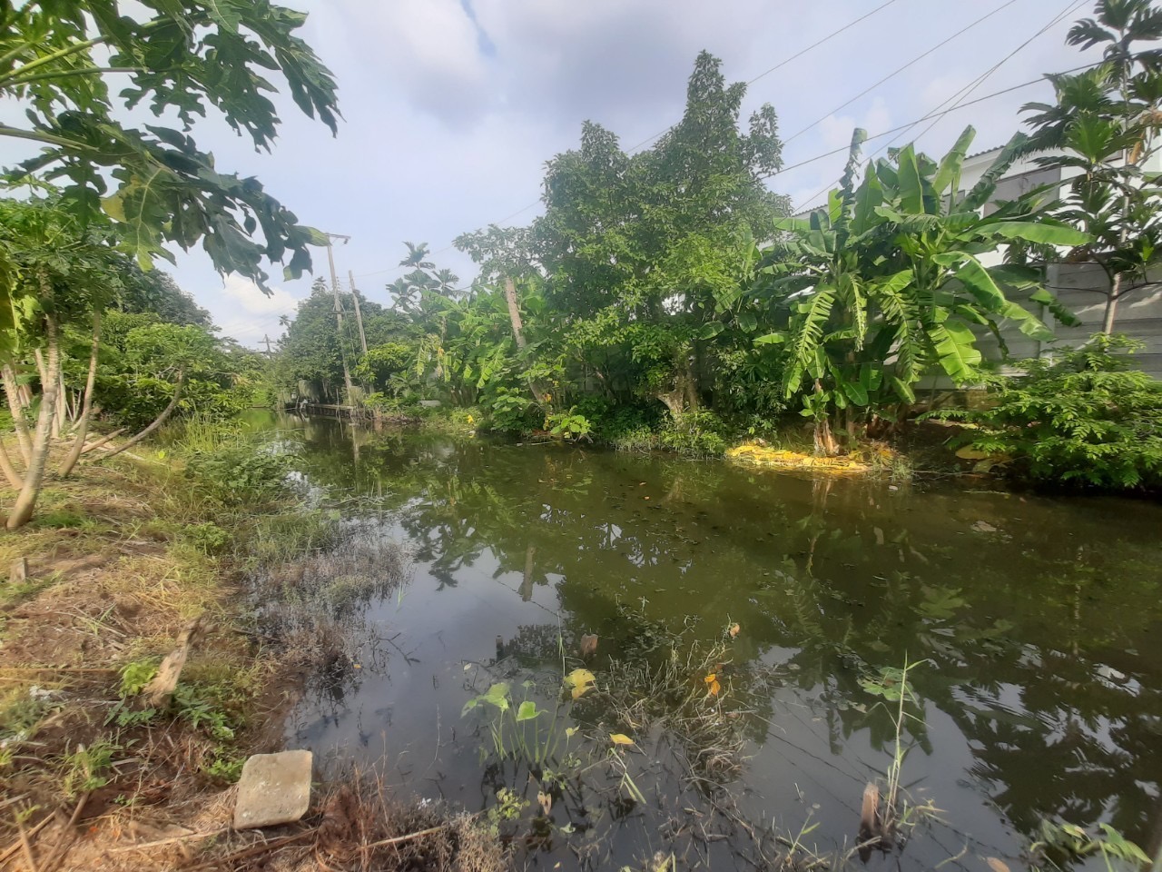 ขายที่ดินถนนนครอินทร์-ราชพฤกษ์ 3-3-54 ไร่ ติดถนนคอนกรีตสาธารณะ ซอย นายอ้อด อ.บางกรวย จ.นนทบุรี