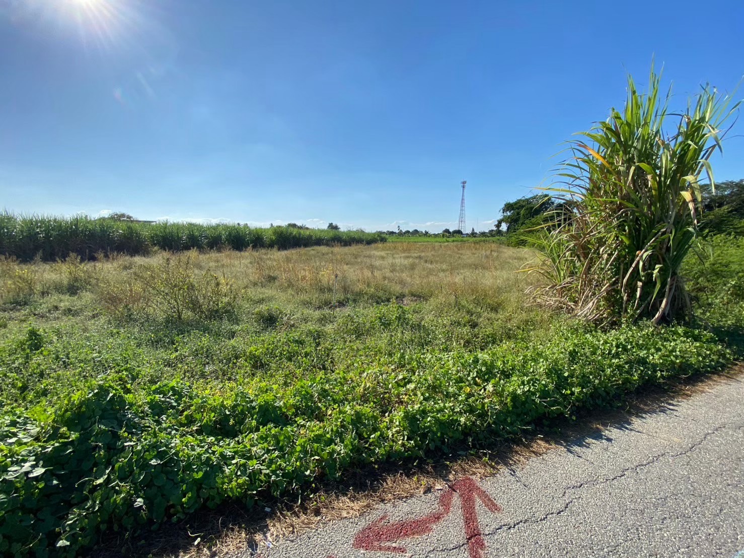 ขายด่วน ที่ดินหนองงูเหลือม 2 ไร่ ติดถนนลาดยางสาธารณะ มีไฟฟ้า+ประปา  เมืองนครปฐม