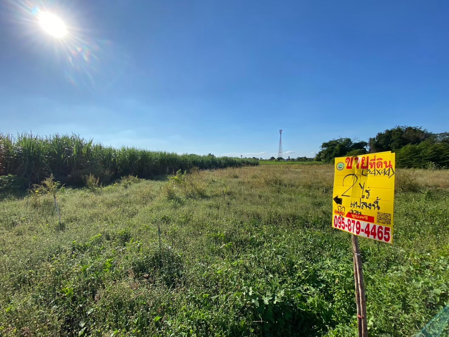 ขายด่วน ที่ดินหนองงูเหลือม 2 ไร่ ติดถนนลาดยางสาธารณะ มีไฟฟ้า+ประปา  เมืองนครปฐม