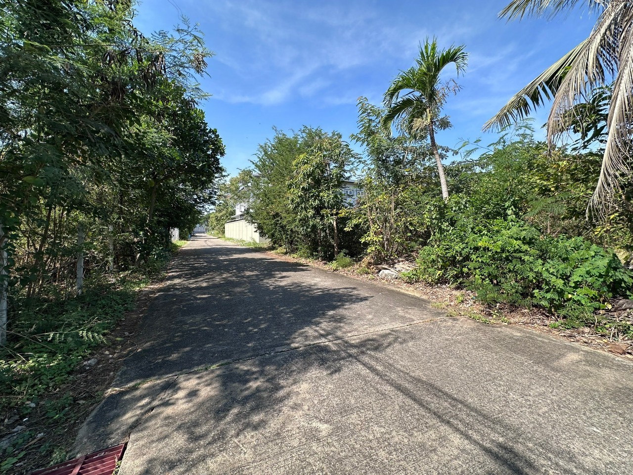 ขายที่ดินติดคลอง 331 ตารางวา ติดถนนคอนกรีตสาธารณะ ถมแล้ว ซอยศาลาธรรมสพน์ 13  เขตตลิ่งชัน กทม.