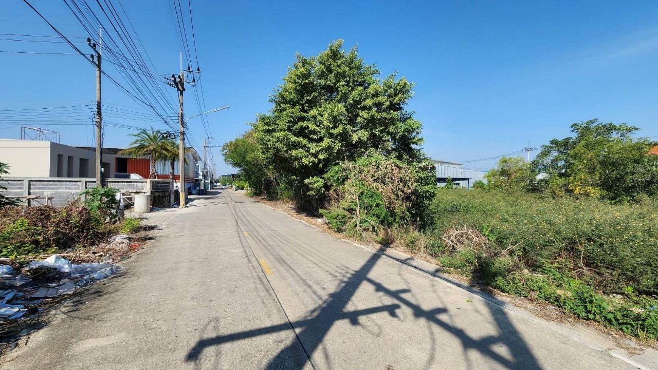 ขายด่วน ที่ดินผังสีม่วง 200 ตารางวา ติดถนนคอนกรีตสาธารณะ เลียบคลองสี่ ซอย 5  อ.ลำลูกกา จ.ปทุมธานี