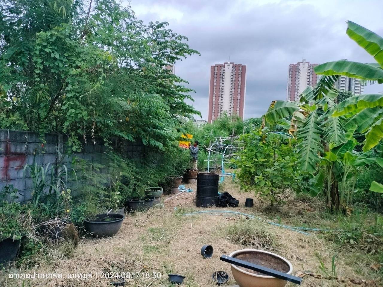 ขายด่วนๆ ที่ดินเมืองทองธานี 53 ตารางวา ถมแล้วทั้งแปลง ม.ลูกกอล์ฟ เมืองทองธานี  อ.ปากเกร็ด จ.นนทบุรี