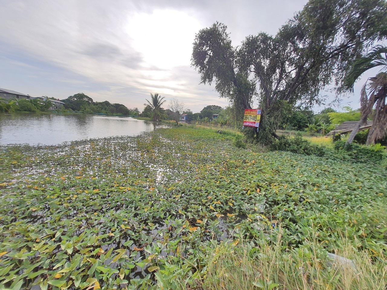 ขายด่วน ที่ดินติดคลองสิบ 3-1-52 ไร่ หน้าติดถนนคลองสิบ(ปท.3032) หลังติดคลอง อ.ลำลูกกา จ.ปทุมธานี