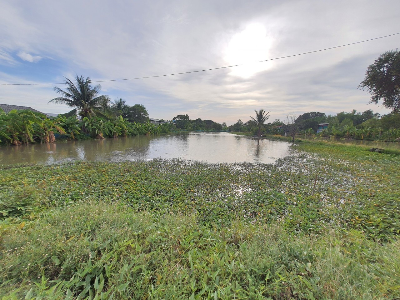 ขายด่วน ที่ดินติดคลองสิบ 3-1-52 ไร่ หน้าติดถนนคลองสิบ(ปท.3032) หลังติดคลอง อ.ลำลูกกา จ.ปทุมธานี