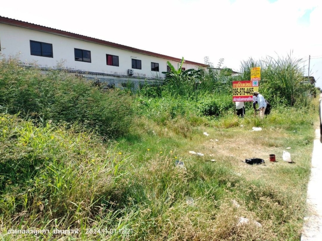 ขายที่ดินคลองเจ็ด 65 ตารางวา ติดถนนคอนกรีตสาธารณะ ถมแล้ว ซอย เมตตา อ.ลำลูกกา จ.ปทุมธานี