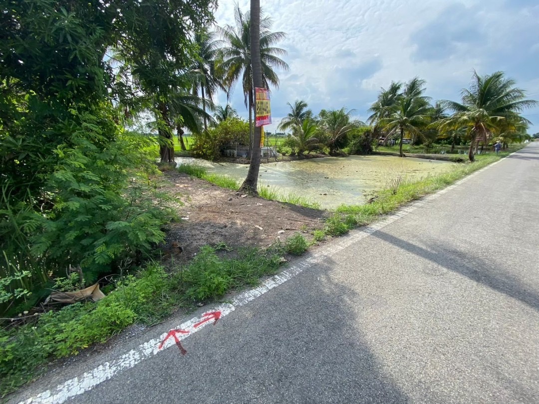 ขายถูกมาก‼ ที่ดินใกล้วัดใหม่เจริญราษฎร์ 4 ไร่ ติดถนนเลียบคลอง 14 ฝั่งตะวันตก หนองจอก กรุงเทพมหานคร