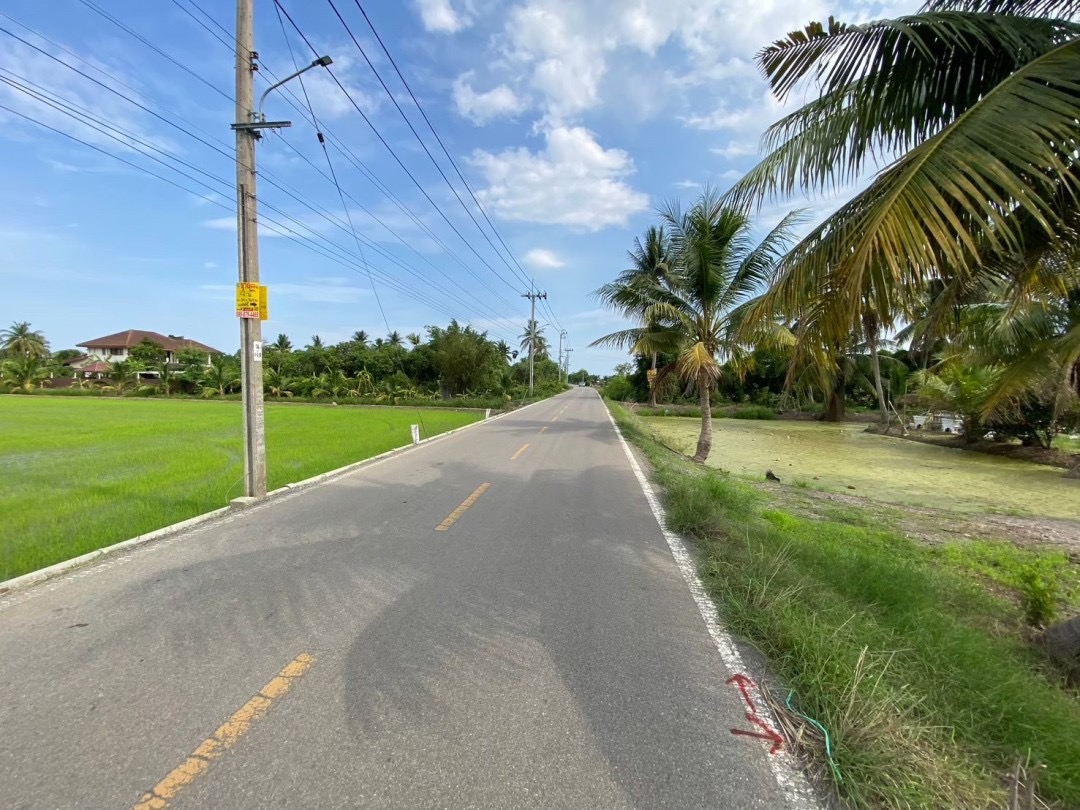 ขายถูกมาก‼ ที่ดินใกล้วัดใหม่เจริญราษฎร์ 4 ไร่ ติดถนนเลียบคลอง 14 ฝั่งตะวันตก หนองจอก กรุงเทพมหานคร