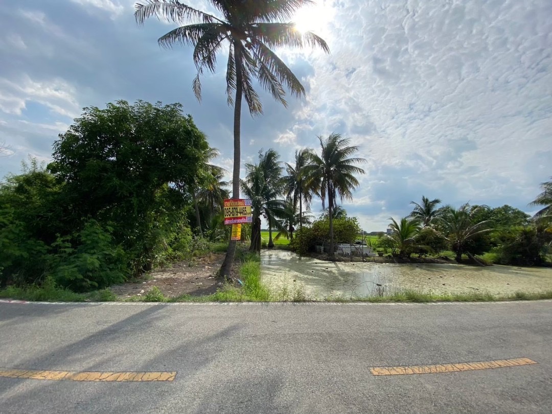 ขายถูกมาก‼ ที่ดินใกล้วัดใหม่เจริญราษฎร์ 4 ไร่ ติดถนนเลียบคลอง 14 ฝั่งตะวันตก หนองจอก กรุงเทพมหานคร