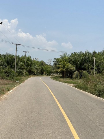 ที่ดินทำเลดี วิวภูเขาล้อมรอบ  เริ่มต้น 10+ไร่ ต.กลัดหลวง อ.ท่ายาง จ.เพชรบุรี 