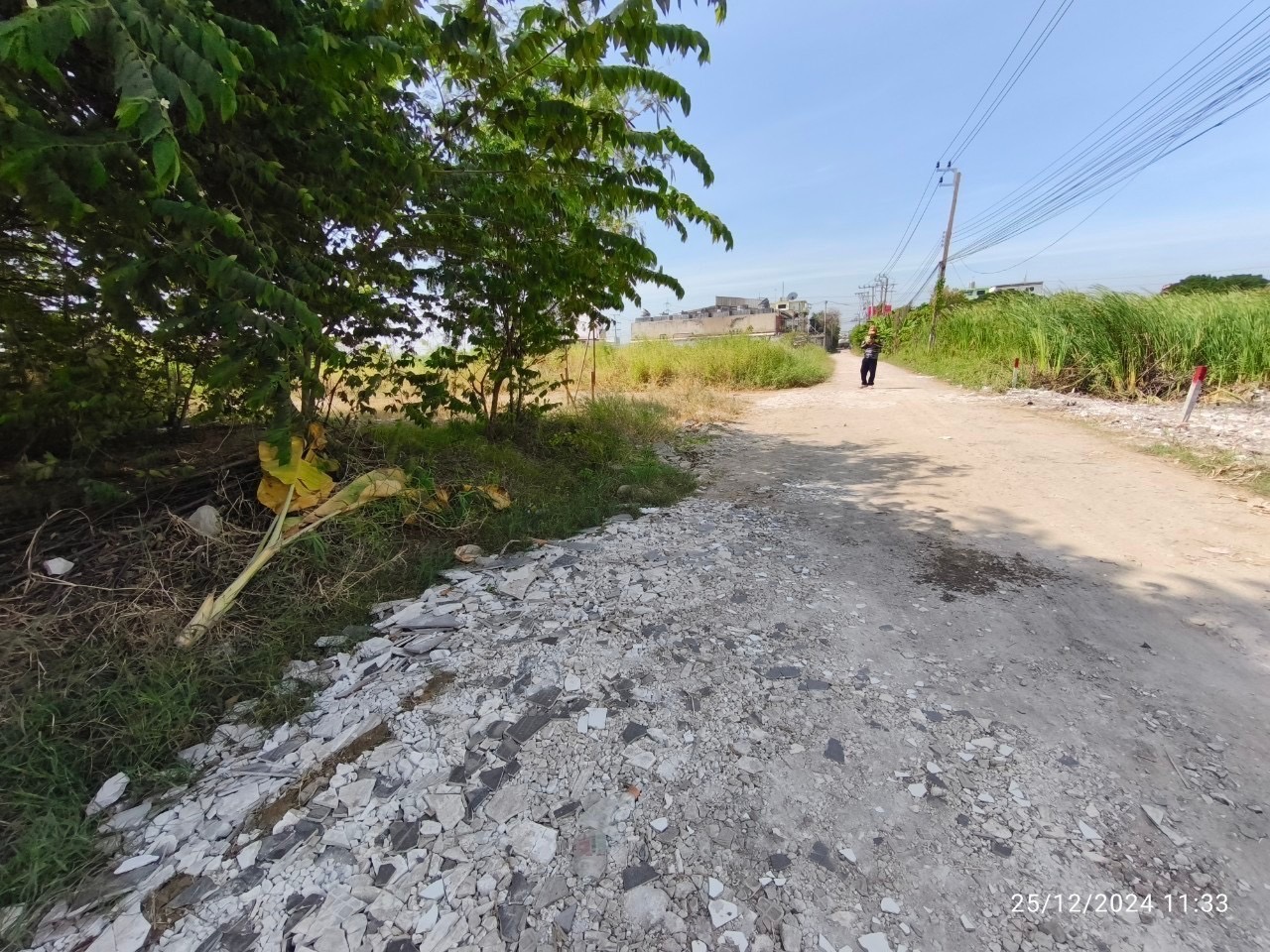 ขายที่ดินถนนร่มเกล้า 250 ตารางวา ติดถนนสาธารณะ ถมแล้ว ซอย ร่มเกล้า 21/1 ลาดกระบัง กรุงเทพมหานคร